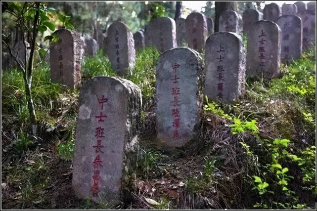 缅甸野人山,3万远征军的噩梦之地,饿了吃树根皮鞋,比