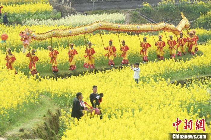重庆菜花节村民舞龙迎客市民赏花踏青