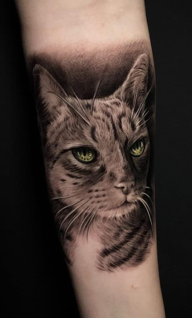 16张猫咪纹身图案