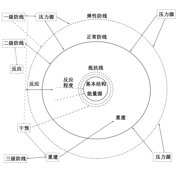 纽曼健康系统模式护理理论day28距离初级护师还有