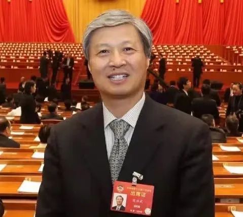 两会声音书法界代表两会献言