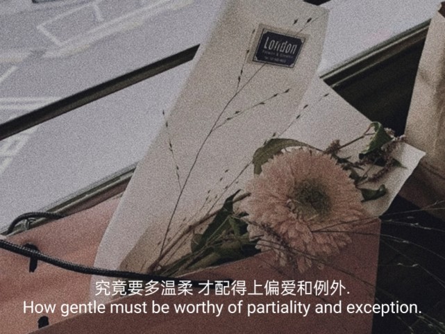 究竟要多温柔 才配得上偏爱和例外.
