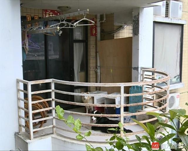 福田多人被同一只狗狂咬 狗主人不以为然