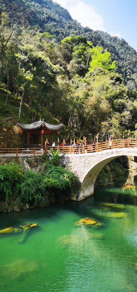 罗源畲山水景区迎来了连续公益植树14年的人他是谁