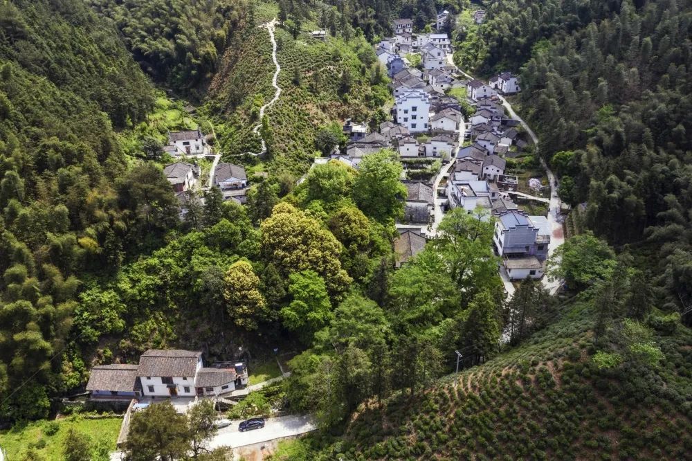 风景道上的徽州村落～遇见樟源里_腾讯新闻