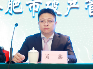 肖鑫副会长主持会议褚道成会长做理事会工作报告王汉波监事长做监事会