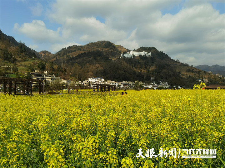 不负好春光阡陌纵横青山环抱开阳十里画廊的花要静静赏