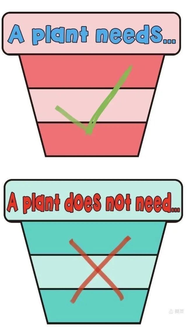 game2:what does a plant need to grow?