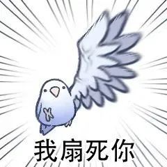 发的什么鸟图表情包
