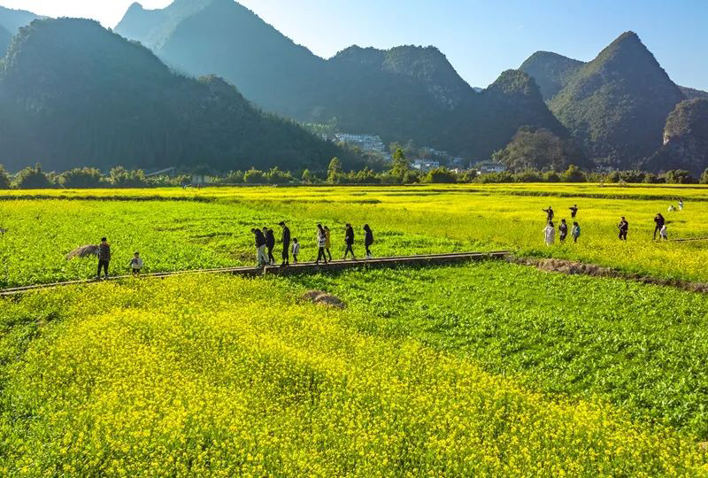 兴义万峰林油菜花海入选2022年度贵州最美油菜花海旅游路线已备好