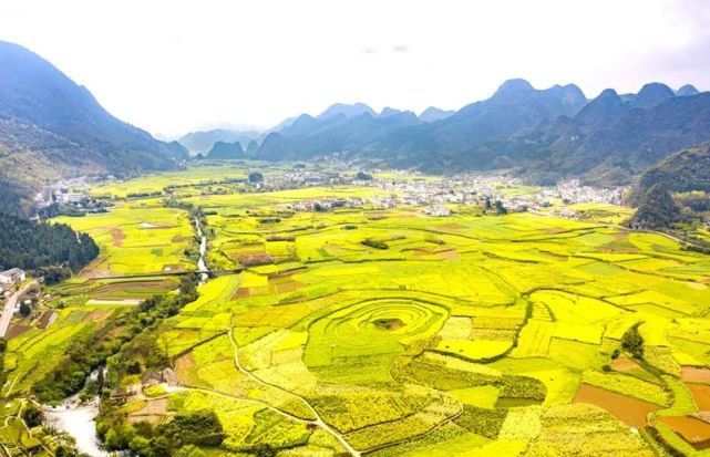 兴义万峰林油菜花海入选2022年度贵州“最美油菜花海”｜旅游路线已备好～_腾讯新闻