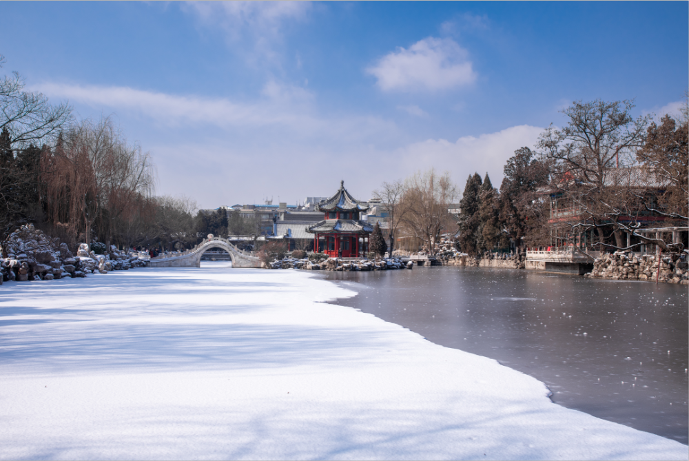 保定画报回望古莲花池的那一场雪