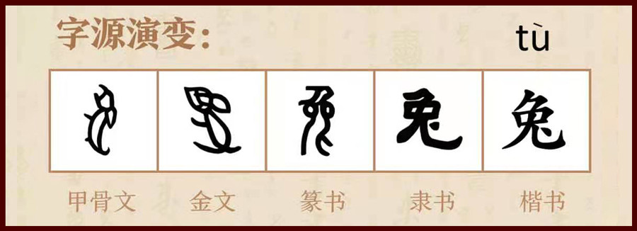 金文的"兔"字(如下图),还是一个可爱的兔子形象,而且相比较于甲骨文