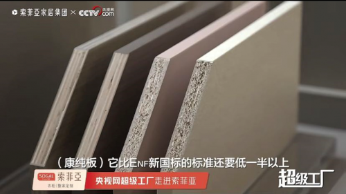 家装环保困惑多央视网实地走访索菲亚为你解答
