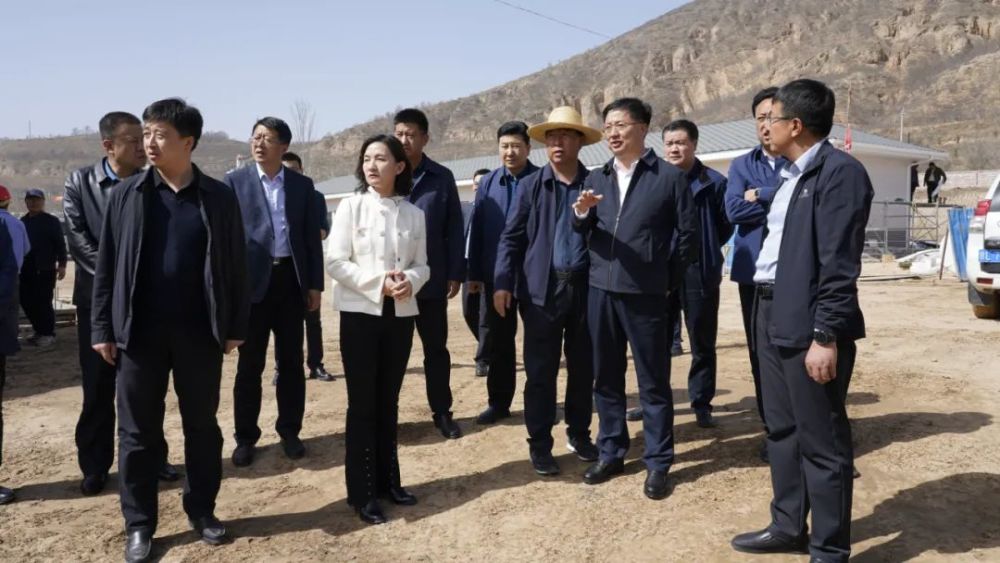 镇李堡村现代蔬菜产业园建设项目,静宁县平凉红牛供港基地及母牛超市