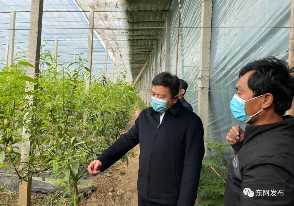 贾连勇一行实地到新型农业经营主体和特色产业村了解