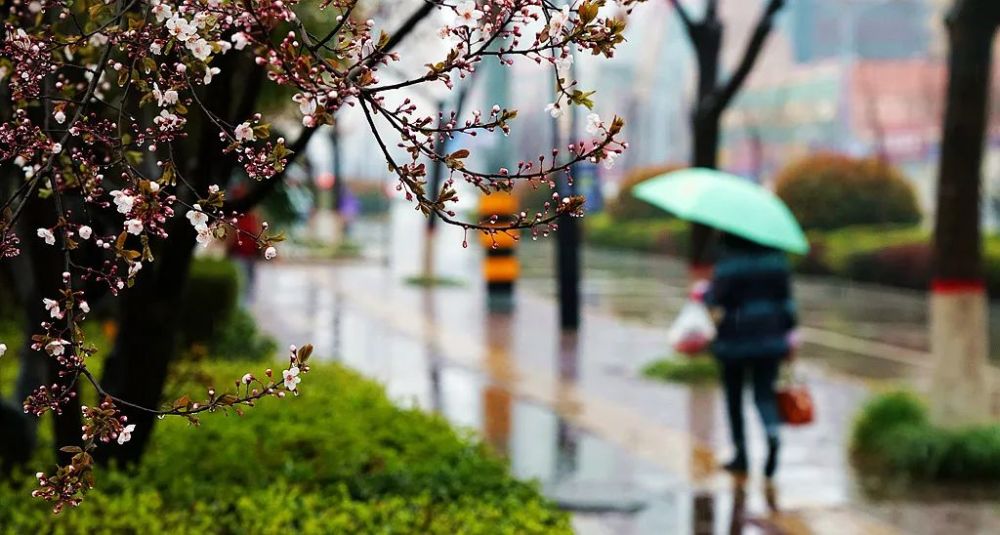 太行人春雨