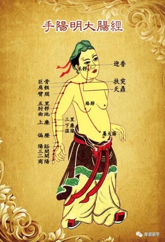 十二经络图仿明版