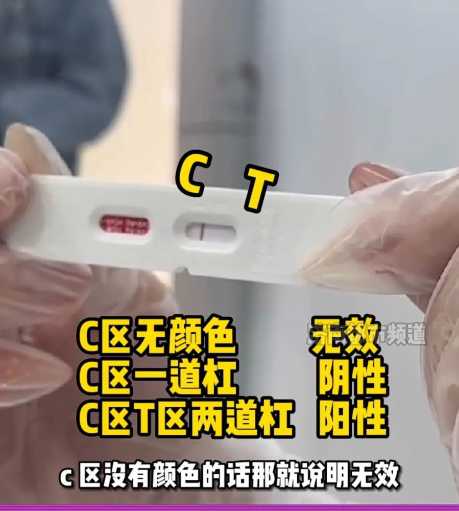 阳性结果"c"和"t"处均显示出红色或紫色条带"t"处条带颜色可深可浅