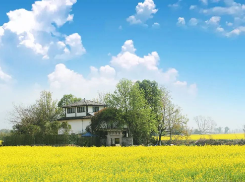 三垟湿地温州生态园春暖赏花之旅开启一段就在诗画山水·温润之州想带