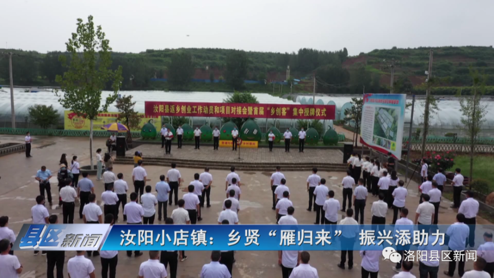 汝阳小店镇乡贤雁归来振兴添助力