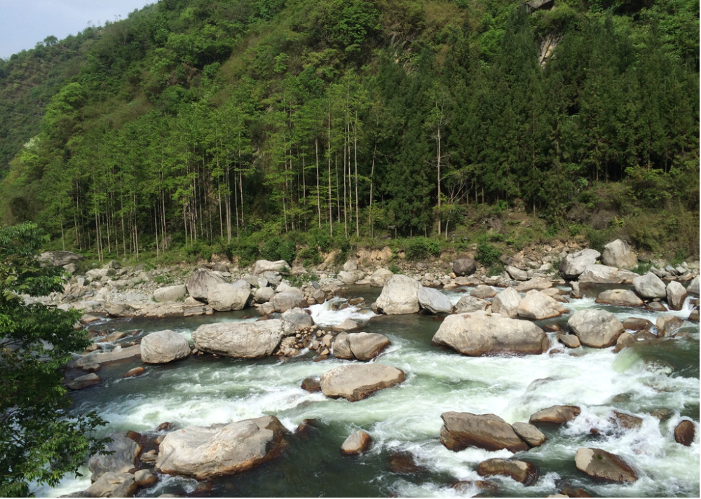 绵阳市平武县的老河沟自然保护区(以下简称"老河沟")地处四川唐家河和