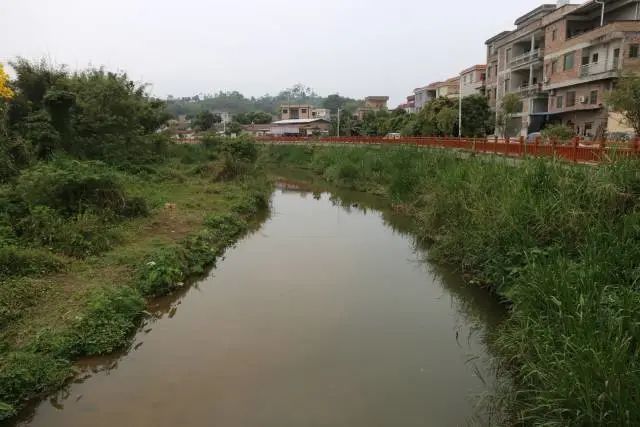 镇船岗河水湄村段,东堤大桥(新兴江共成河段),大南河(百合山公园段