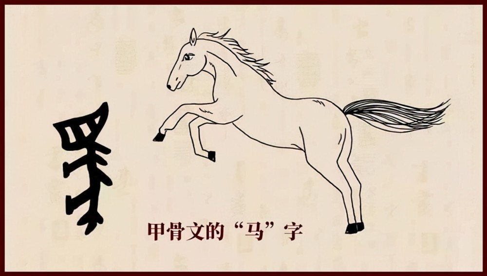 甲骨文的马(如下图),其实就是一匹马的简笔画.