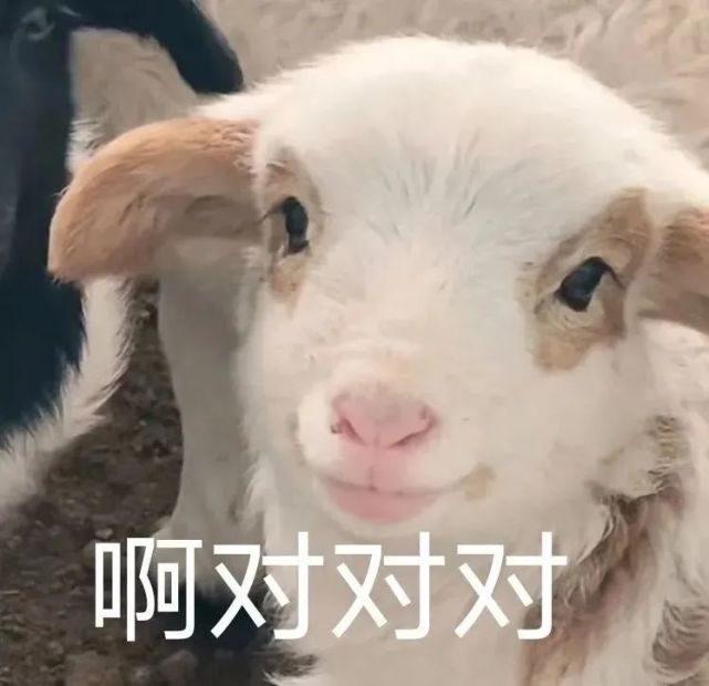 羊咩咩表情包