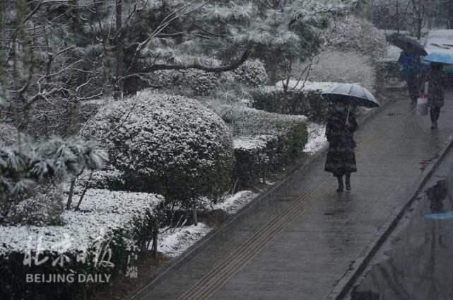 多图直击|京城再飘雪,此刻他们在雪中行