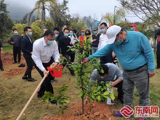 两马共植亲情林活动在福州琅岐镇举办 腾讯新闻