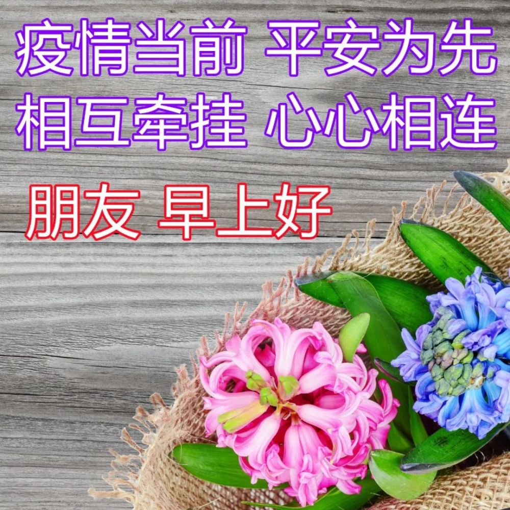 非常时期动态早安祝福图片日常问候朋友健康平安早上好优美句子