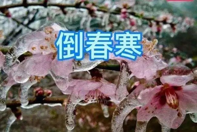 北方普降大雪2022年倒春寒来了具体什么时候结束会持续多久