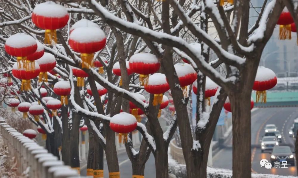 城市副中心通胡大街路旁,春雪把枝头的红灯笼装扮成一个个"雪容融".