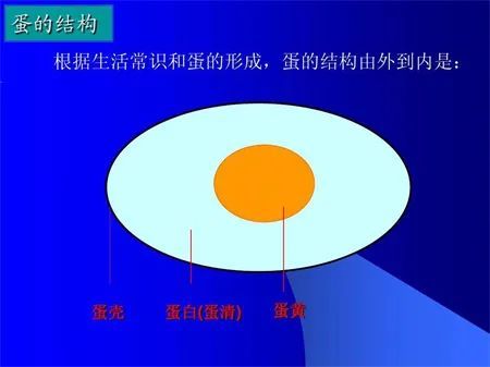 乐乐:不对,不对,煮熟的鸡蛋里面藏着小鸡,上次我吃