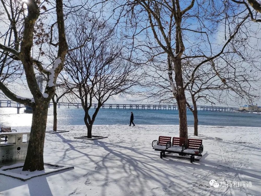 三月的春天下雪啦看看大连的雪景吧