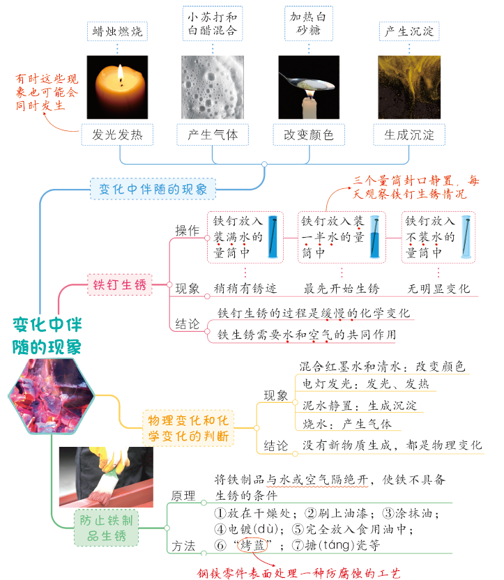 教科版六年级科学下册全册思维导图汇编文末下载