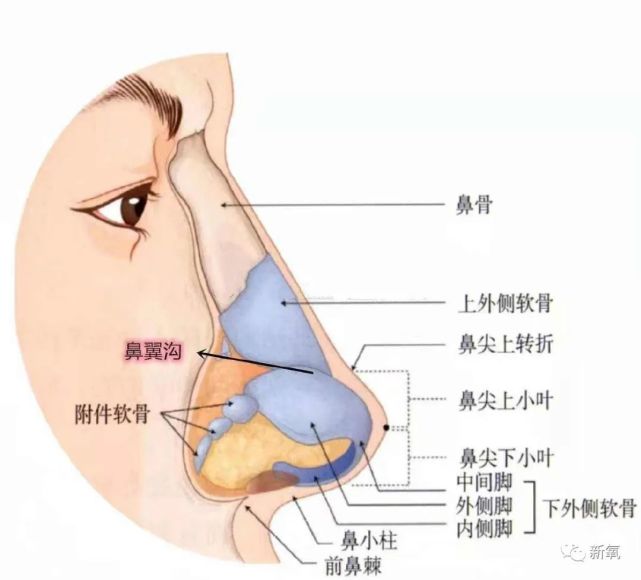 为什么能有三分像刘亦菲,就很美了?