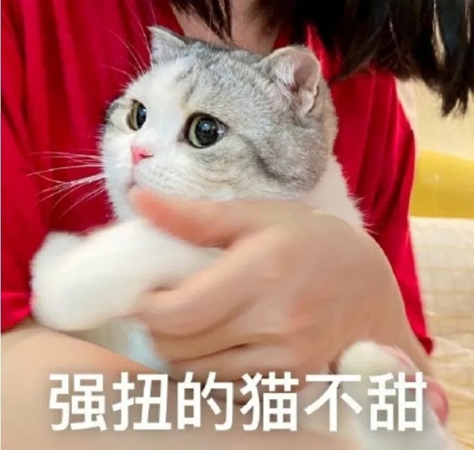 猫猫表情包没有我得不到的女人