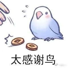 duck鹦鹉表情包