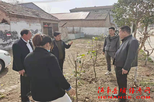 梁园区李庄乡一树新栽益四邻百花齐放艳今春