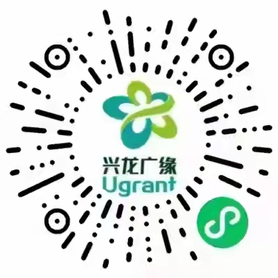 丰润兴龙广缘丰润天奕商厦遵化天奕商厦汉沽家乐超市遵化过来玩集群e