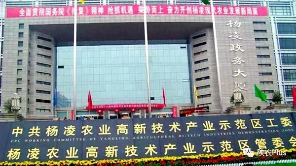 "我们按照全省乡村振兴"十百千"示范区工程创建方案,将杨陵区列为示范