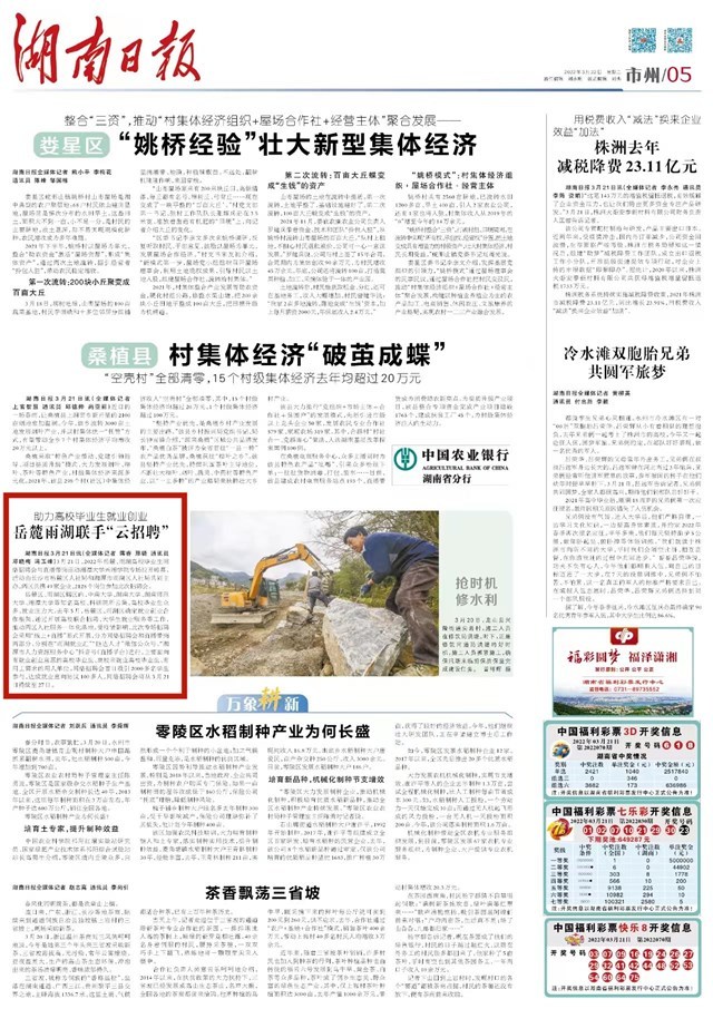 岳麓招聘_长沙岳麓区招中小幼教师318人 速看