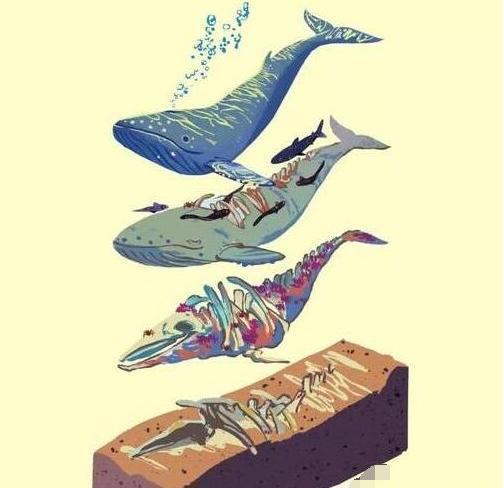 "鲸爆"的威力有多恐怖?