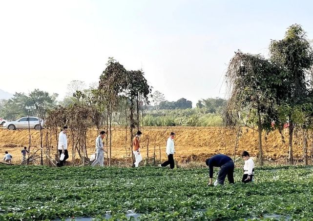 记者 廖丽洁编辑 冯泰莲校对 曹梓健二审 陆艳梅三审 黄绍