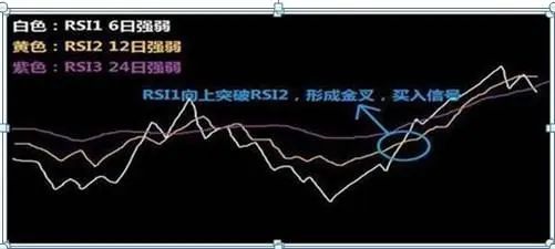 冠军操盘手盘口语言解读rsi实战用法轻松买在低点卖在高点