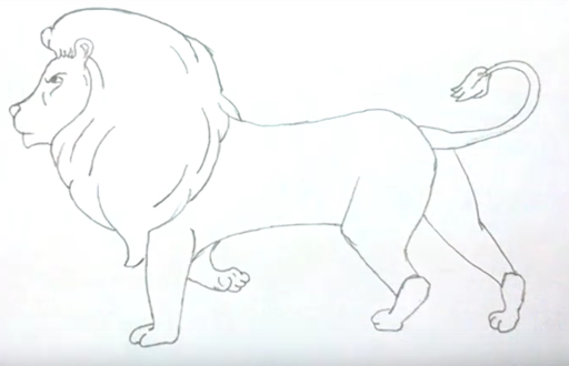 狮子的素描