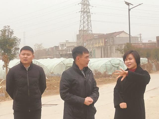 榜样用实干书写担当记怀远县双桥集镇党委书记韩秀