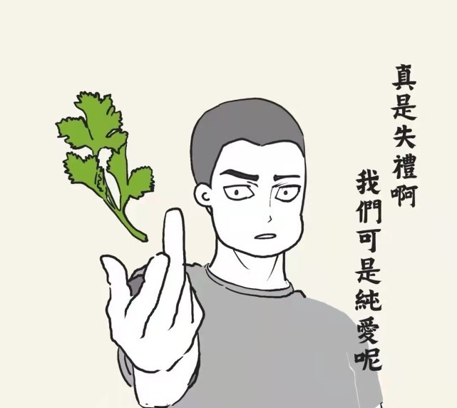 印度人简直是香菜十级爱好者还想为它争取国民香草之名